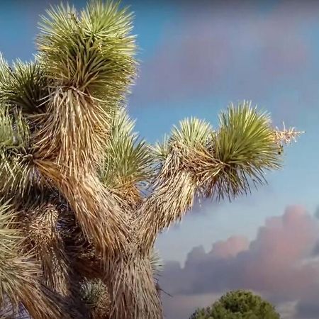 Three Tree Villa W/ Ev Charging Yucca Valley Exterior photo